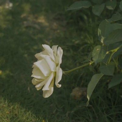 简重新